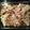 mickey3's cooksnap of when they made Heather's Oregano Beef Mac.