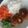 Cooksnap dari Pricillia Vina untuk resep Hamburg Rice (Hambagu)