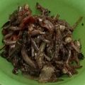 Cooksnap dari Vitha Variza untuk resep Oseng Teri Jengki Kulit Melinjo