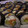 El cooksnap de spedgra cuando hizo Sushi casero- Maki de aguacate, salmón y langostino con queso crema.