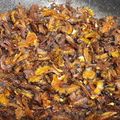 Hema Wane's cooksnap of when they made कारल्याची भाजी (karlyachi bhaji recipe in marathi).