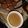Misbah Rasheed Qureshì's cooksnap of when they made Simple tea.