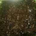 Cooksnap dari aprilia fitri untuk resep Brownies kukus murmer