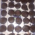 El cooksnap de Diego Martinez cuando hizo Mentitas cubiertas con chocolate semiamargo.