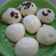 Cooksnap dari Elfira Fikriana untuk resep Pao maizena simple empuk 😊