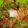 Aarti Dave's cooksnap of when they made वघारेली खिचड़ी (vaghareli khichdi recipe in Hindi).