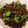 pushpalata yadav's cooksnap of when they made Carrot and green peas ki khatti mithi subji.
