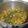 El cooksnap de Claudia Rojas cuando hizo Potaje de garbanzos con chistorra, acelgas y brócoli.