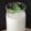El cooksnap de Encarna Pérez (La Cocina De Encarni) cuando hizo Batido de melón Thermomix.