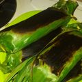 Cooksnap dari Camayyy untuk resep Nasi bakar ayam suwir kemangi