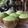Cooksnap dari YK22 untuk resep Cupcake Bayam