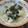 Cooksnap dari Senny Sari untuk resep Miso soup lobak
