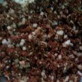 Meena Mathur का कुकस्नैप जब उन्होंने अजवाइन प्रसाद(Ajwain Prasad recipe in hindi) बनाया था।