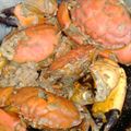 Cooksnap dari dwiyanti.nikita untuk resep Kepiting Telur Saos Tiram