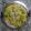 Saroj Shah's cooksnap of when they made Dal Dhokla.