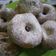 Cooksnap dari Shafira Nur ZA untuk resep Donat Empuk Simple