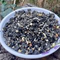 Beena Radia's cooksnap of when they made કાળા તલ નું કચરિયું (Black Til Kachariyu Recipe In Gujarati).