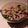 El cooksnap de amidemarco cuando hizo Ensalada de palta y atún.
