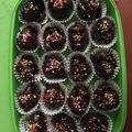 Cooksnap dari Widya Pandjaitan untuk resep Coklat coco crunch