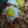 El cooksnap de Beacocinilla cuando hizo Huevos Napoleón.