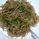 priya yadav का कुकस्नैप जब उन्होंने शेज़वान नूडल्स (Schezwan noodles recipe in Hindi) बनाया था।