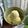 Cooksnap dari Anita R. untuk resep Es puter kelapa dinangkaan