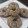 El cooksnap de AniCG cuando hizo Rosquitas - Donuts.