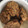 El cooksnap de virginia cuando hizo Galletas de avena y plátano.