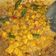 Cooksnap dari iin anggraini untuk resep Orek Tempe Basah