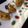 Areeba Muhammed's cooksnap of when they made Potli samosa.