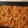 kateflaim42's cooksnap of when they made Apple Cinnamon Coffee Cake.