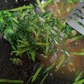 Cooksnap dari Ella Berti Rahmayuni untuk resep Ca Kangkung Terasi