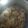 El cooksnap de mcarmen.sanchez cuando hizo Solomillo de cerdo en salsa verde.