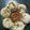 Prafulla Ramoliya's cooksnap of when they made રવા ઇડલી (Semolina Idli Recipe In Gujarati).