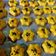 Cooksnap dari Dinda Ayu untuk resep Salted Egg Yolk Cookies