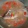 Cooksnap dari nur laily untuk resep Ikan mas/Mujaer rebus (steam)