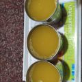 mitu madlani's cooksnap of when they made મોસંબી જ્યુસ (Mosambi Juice Recipe In Gujarati).