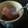 El cooksnap de Miriam Ros Garcia cuando hizo Bizcocho chocolate y banana fit al microondas.