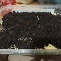 Cooksnap dari Ema Mardiyah untuk resep 📑 Oreo Cheese Cake Lumer