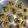 Binita Patel's cooksnap of when they made Street style sev puri.