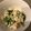 葉慧萍 的 【韓式】- 涼拌菠菜豆腐 cooksnap