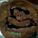 Arya Paradkar का कुकस्नैप जब उन्होंने चॉकलेट पैनकेक(chocolate pancake recipe in hindi) बनाया था।