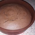 El cooksnap de Daniela cuando hizo Torta húmeda de chocolate.