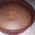 El cooksnap de Daniela cuando hizo Torta húmeda de chocolate.