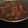 Cooksnap dari Sherly Sari untuk resep Semur betawi nenek melon
