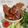 Cooksnap dari LiyaniFY untuk resep Ayam Bakar Ala ABC