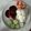 Joshua Sans's cooksnap of when they made Super Simple Chicken Steak.