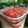 Cooksnap dari Fitria Dian untuk resep Strawberry shortcake ogura #homemadebylita