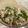 صورة من ‫جنان العنزي‬‎، شاركها بعد تجربة وصفة مسقعة باذنجان وبطاطس باللحم المفروم 🍲👌🏻
