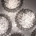 Cooksnap dari yuli trianti untuk resep Choco lava lumeeeerrr